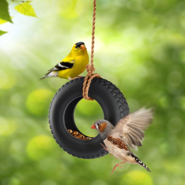 Karmnik dla ptaków Swing Time - Bird Feeder